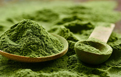 Choosing a Greens Powder Supplement, the Health Benefits & How to Use Them